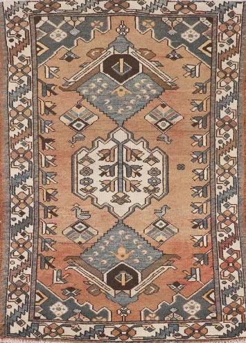 Vintage Wool Bakhtiari Persian Rug 4x6