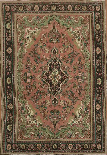 Handmade Wool Hamedan Persian Area Rug 7x10