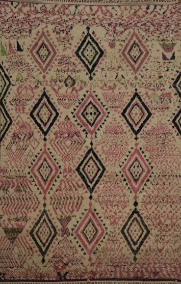 Beige & Pink Moroccan Oriental Area Rug 9x13