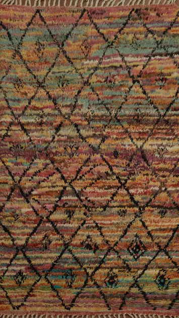 Trellis Plush Moroccan Oriental Rug 4x7