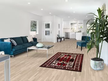 Hunting Design Wool Balouch Persian Rug 4x6