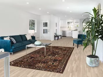 Garden Design Bakhtiari Persian Living Room Rug 5x10