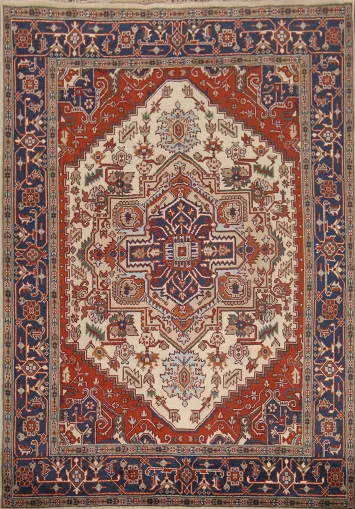 Geometric Heriz Serapi Oriental Area Rug 8x10