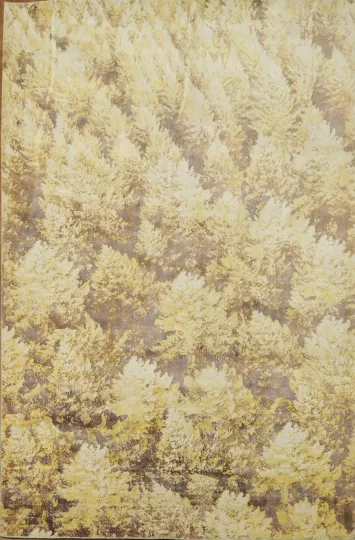 Handmade Yellow Abstract Oriental Area Rug 6x9