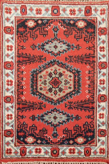 Handmade Wool Viss Indian Accent Rug 2x3