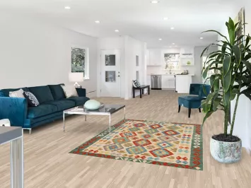 Hand-Woven Kilim Reversible Wool Rug 5x6