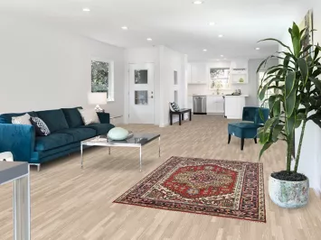 Geometric Heriz Serapi Indian Accent Rug 4x6