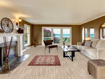 All-Over Ivory Oushak Indian Accent Rug 4x6