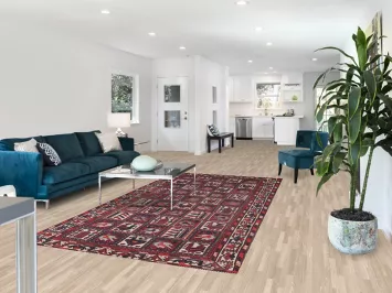 Garden Design Tribal Bakhtiari Persian Area Rug 5x10