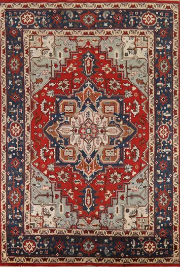 Geometric Red Heriz Serapi Oriental Area Rug 9x12