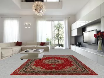 Medallion Floral Aubusson Turkish Area Rug 10x13