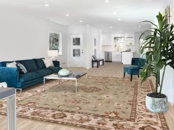 Light Green Oushak Indian Area Rug 9x12