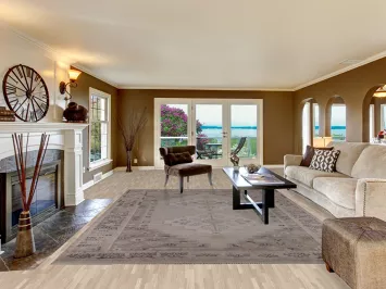 Geometric Heriz Serapi Indian Area Rug 9x12