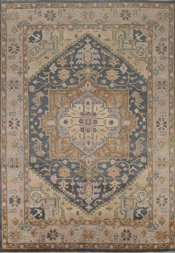 Geometric Heriz Serapi Indian Area Rug 9x12