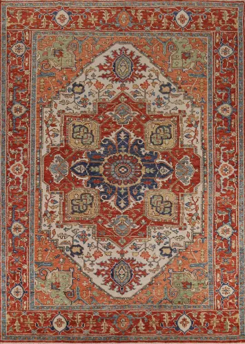 Geometric Heriz Serapi Indian Area Rug 9x12