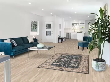 Handmade Wool Oushak Indian Accent Rug 4x6