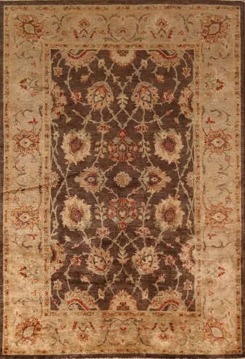 Floral Brown Oushak Oriental Area Rug 6x9