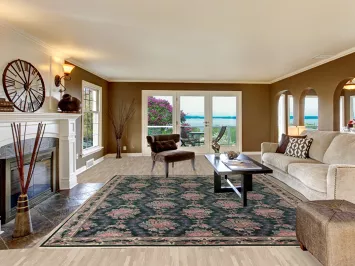 Vegetable Dye Green Aubusson Chinese Area Rug 9x12