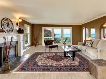 Vegetable Dye Aubusson Chinese Area Rug 9x12