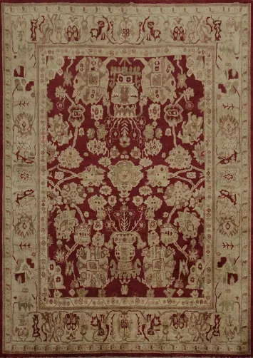 Sophisticated Rich Maroon and Cream Peshawar Area Rug 8x10