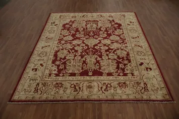 Sophisticated Rich Maroon and Cream Peshawar Area Rug 8x10