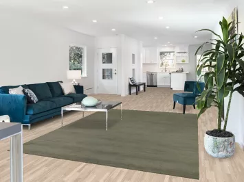 Sage Green Solid Gabbeh Modern Area Rug 7x9