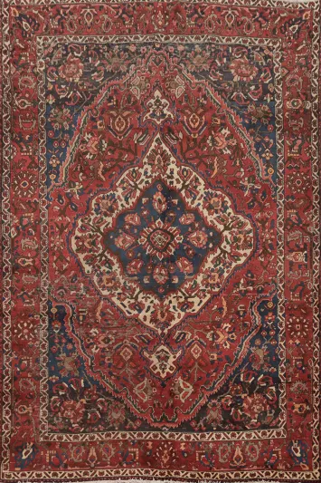 Vintage Wool Bakhtiari Persian Area Rug 7x10