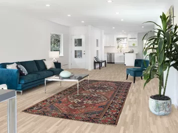 Vintage Wool Bakhtiari Persian Area Rug 5x10