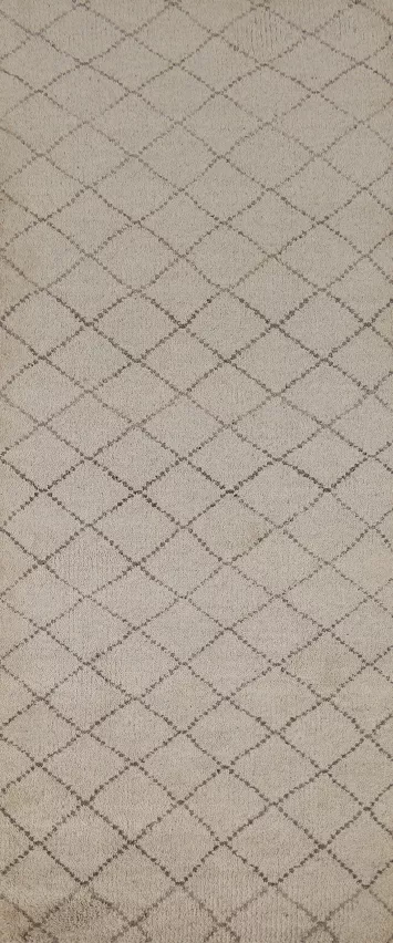 Trellis Wool Moroccan Oriental Runner Rug 3x8