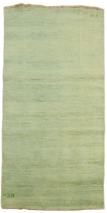Light Green Wool Gabbeh Modern Oriental Rug 3x6