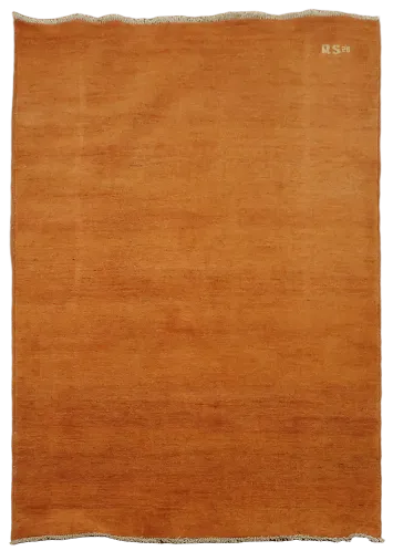Soft Textured Orange Rug Ideal for Living Room Ambiance 4x6