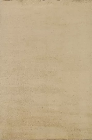 Solid Wool Gabbeh Modern Accent Rug 4x6