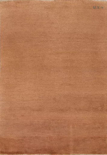 Modern Wool Gabbeh Oriental Foyer Rug 3x5