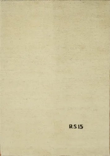 Ivory Gabbeh Modern Wool Foyer Rug 3x4