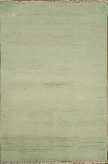 Handmade Green Gabbeh Modern Wool Foyer Rug 3x4