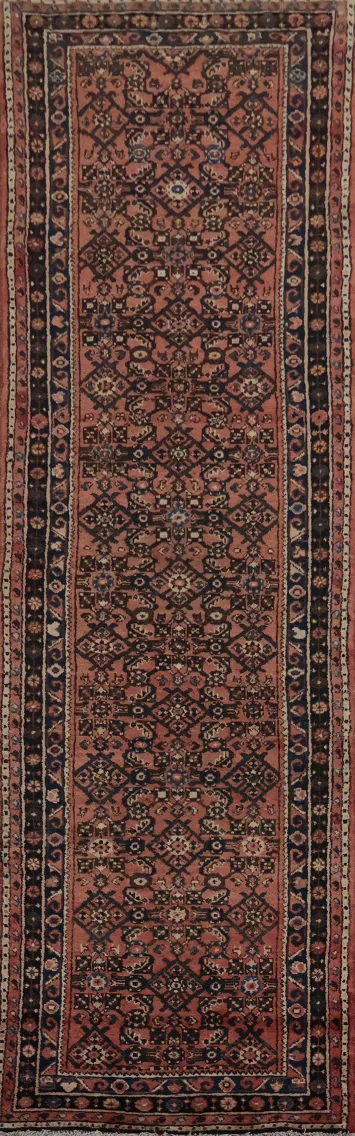 Elegant Hamedan Persian Runner Rug 3x10 Rich Ornamental Design