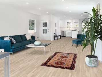 Light Brown Wool Khotan Indian Foyer Rug 3x5