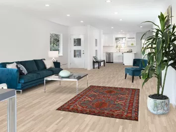 Geometric Khotan Oriental Accent Rug 4x6