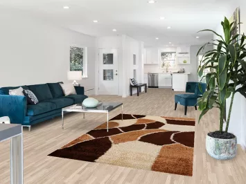 Modern Plush Shaggy Oriental Area Rug 5x8