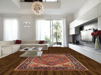 Orange Geometric Heriz Serapi Indian Area Rug 9x12