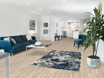 Contemporary Abstract Transitional Turkish Rug 4x6