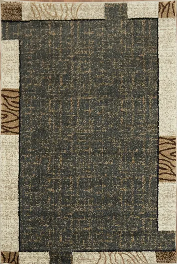 Contemporary Gray Abstract Rug with Modern Border Design 3x5