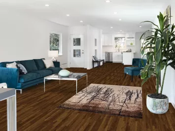 Transitional Oriental Rug 4x6