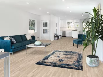 Transitional Oriental Rug 4x6