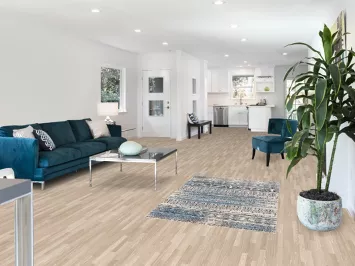 Transitional Oriental Rug 3x5