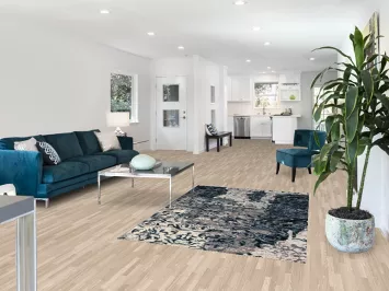 Transitional Oriental Rug 4x6