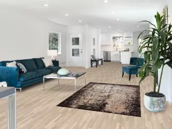 Transitional Oriental Rug 4x6