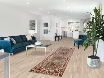 Geometric Heriz Serapi Indian Runner Rug 3x10