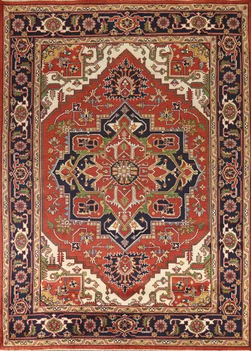 Orange Medallion Heriz Serapi Indian Area Rug 9x12
