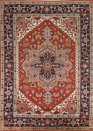 Geometric Heriz Serapi Indian Area Rug 9x12
